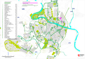 F:TraficoBICICLETAPLANOS RED BICI_BIZIRED CICLISTA2013-Dici