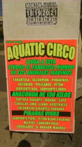 circo acuatico