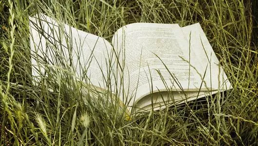 Proponemos incluir el Bibliobús en la nueva contrata de transporte público