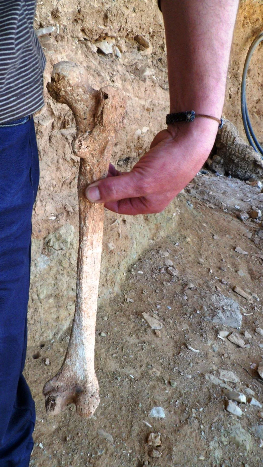 Acudimos al Justicia de Aragón ante la falta de información sobre los restos óseos, posiblemente humanos, hallados en la falda de El Castell de Fraga