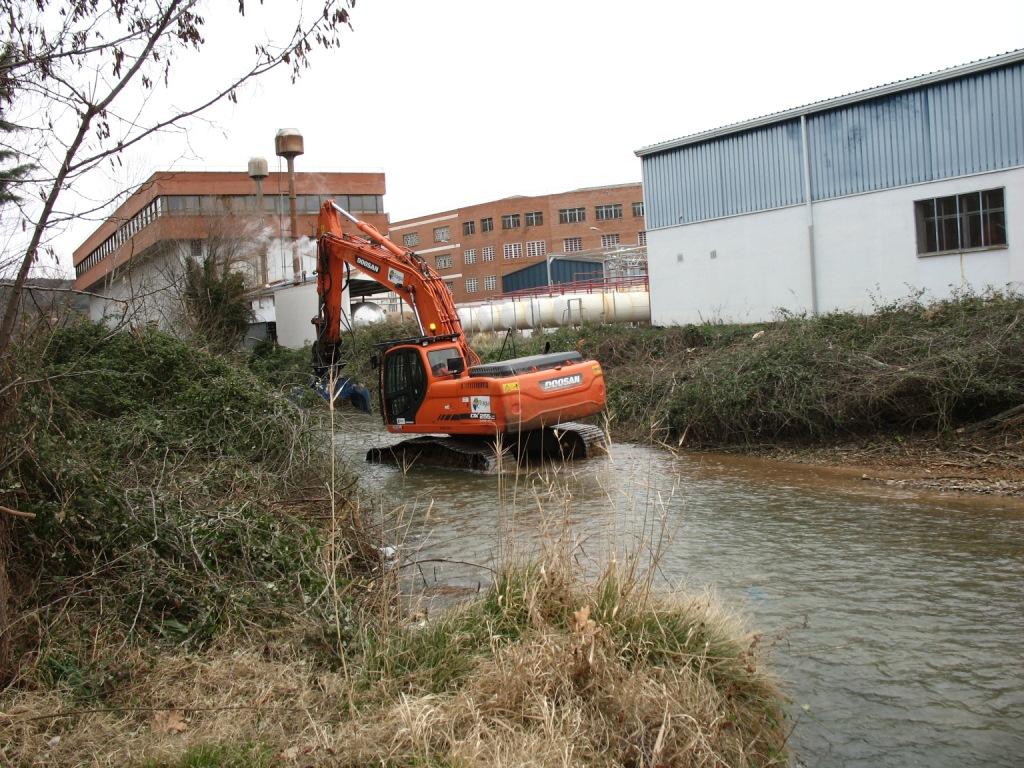 Denunciamos la tala indiscriminada de chopos y sauces por parte de la CHE en el río Jalón a su paso por Ateca