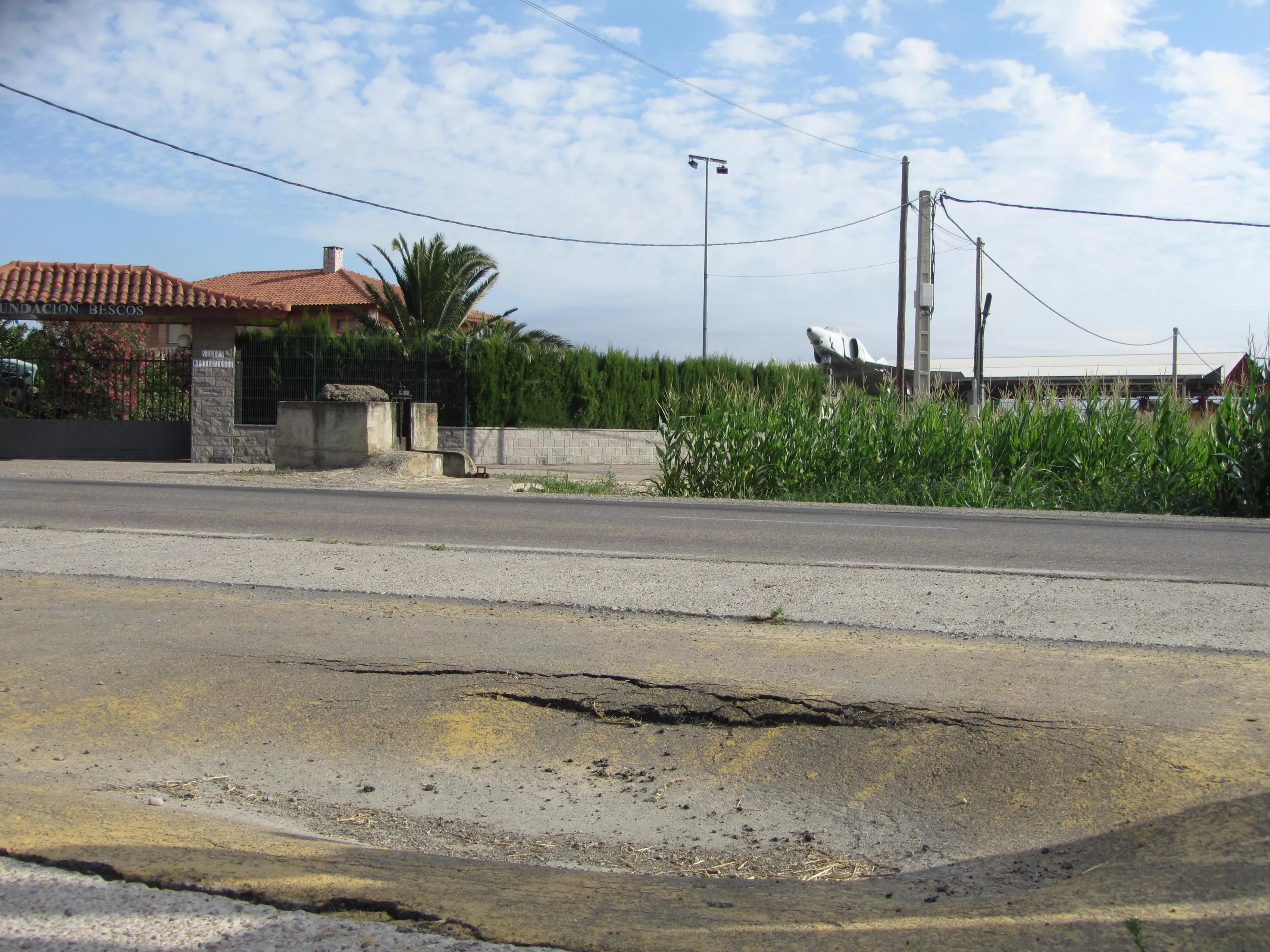 Denunciamos el abandono de viales, parques y jardines en Movera