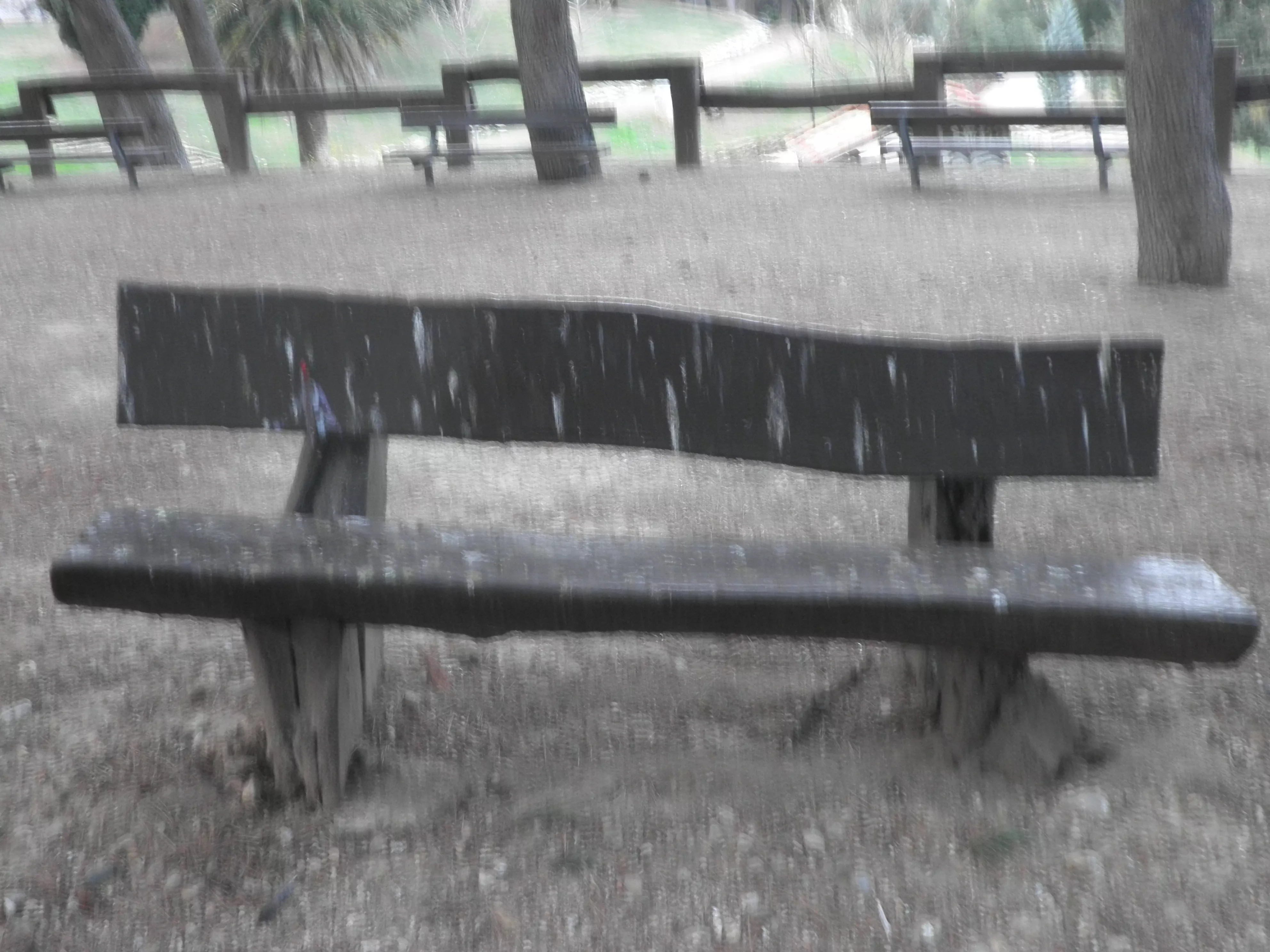 Denunciamos la degradación del parque Castillo Palomar en Delicias