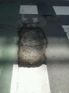 obispo Pintado-20140429