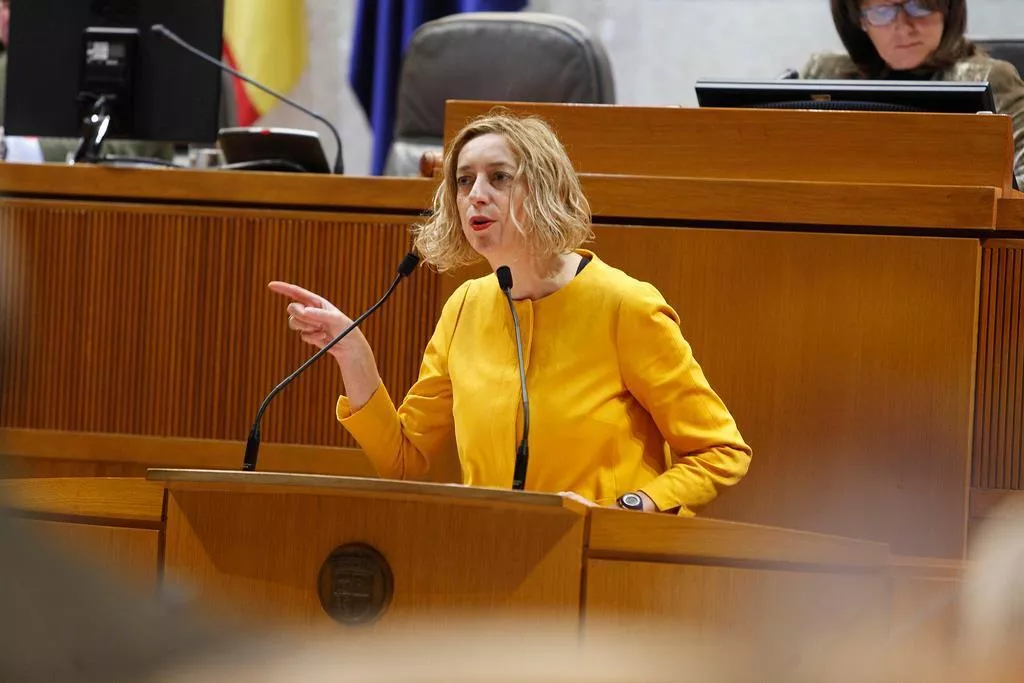 Exigimos a Oliván que aclare si el Consejo Aragonés de Adopción está utilizando criterios discriminativos en tramitaciones de familias monoparentales y del mismo sexo