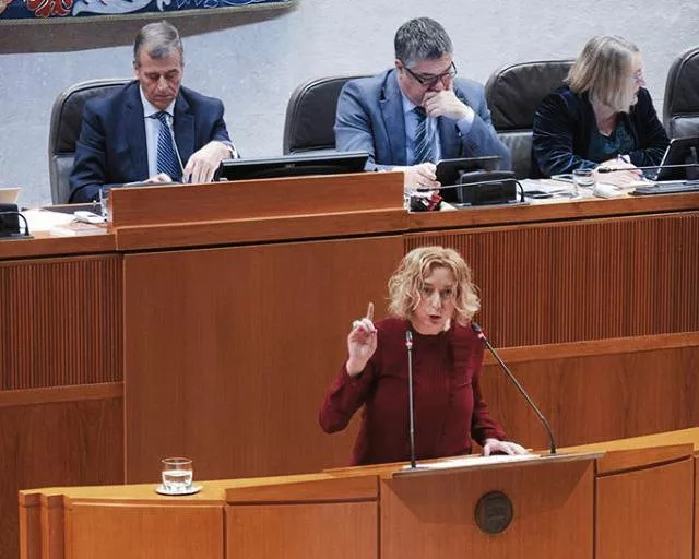 Luquin: “No se puede llamar borrador de presupuestos a un PowerPoint con macrocifras”