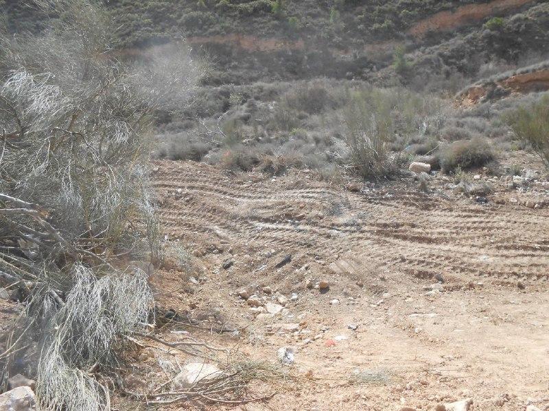 Satisfechos por la limpieza de los vertederos denunciados en el término municipal de Fraga