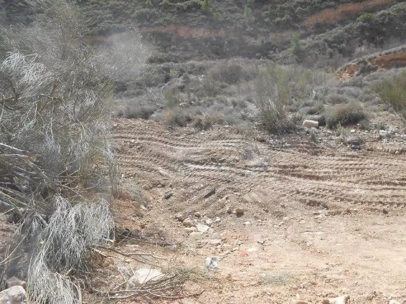 Satisfechos por la limpieza de los vertederos denunciados en el término municipal de Fraga