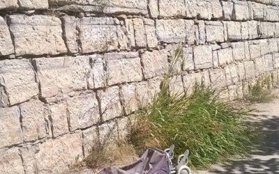 Lamentamos la falta de actuación de la administración en los posibles vertidos en el río Cinca a su paso por Fraga