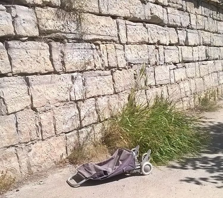Lamentamos la falta de actuación de la administración en los posibles vertidos en el río Cinca a su paso por Fraga