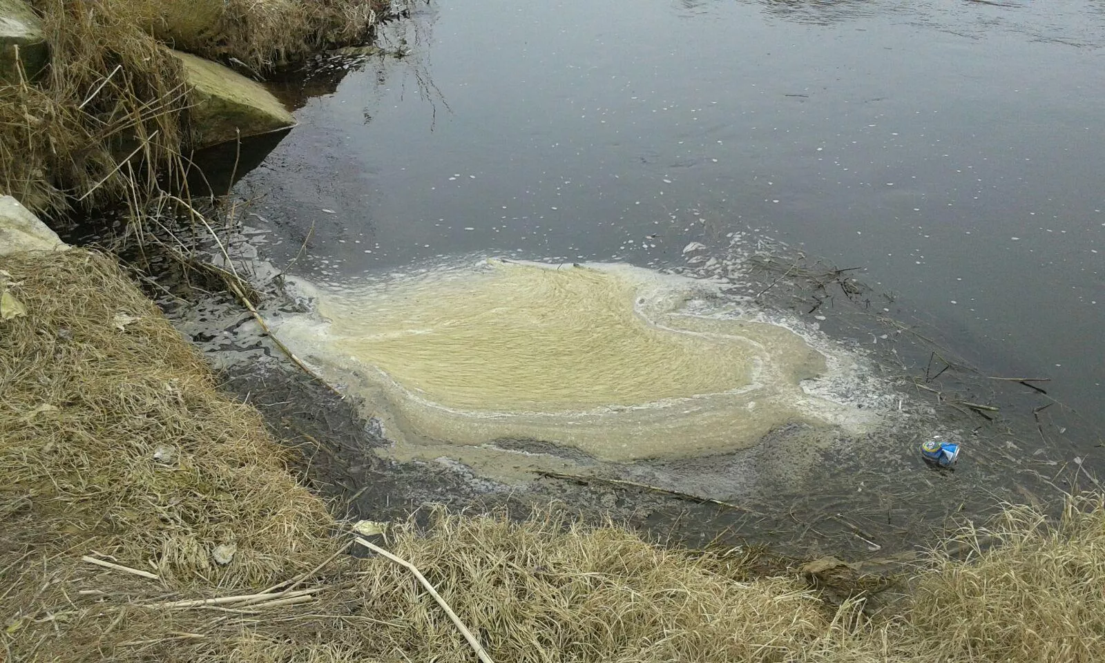 Ampliamos la denuncia a Seprona por posibles vertidos contaminantes en el Cinca a su paso por Fraga