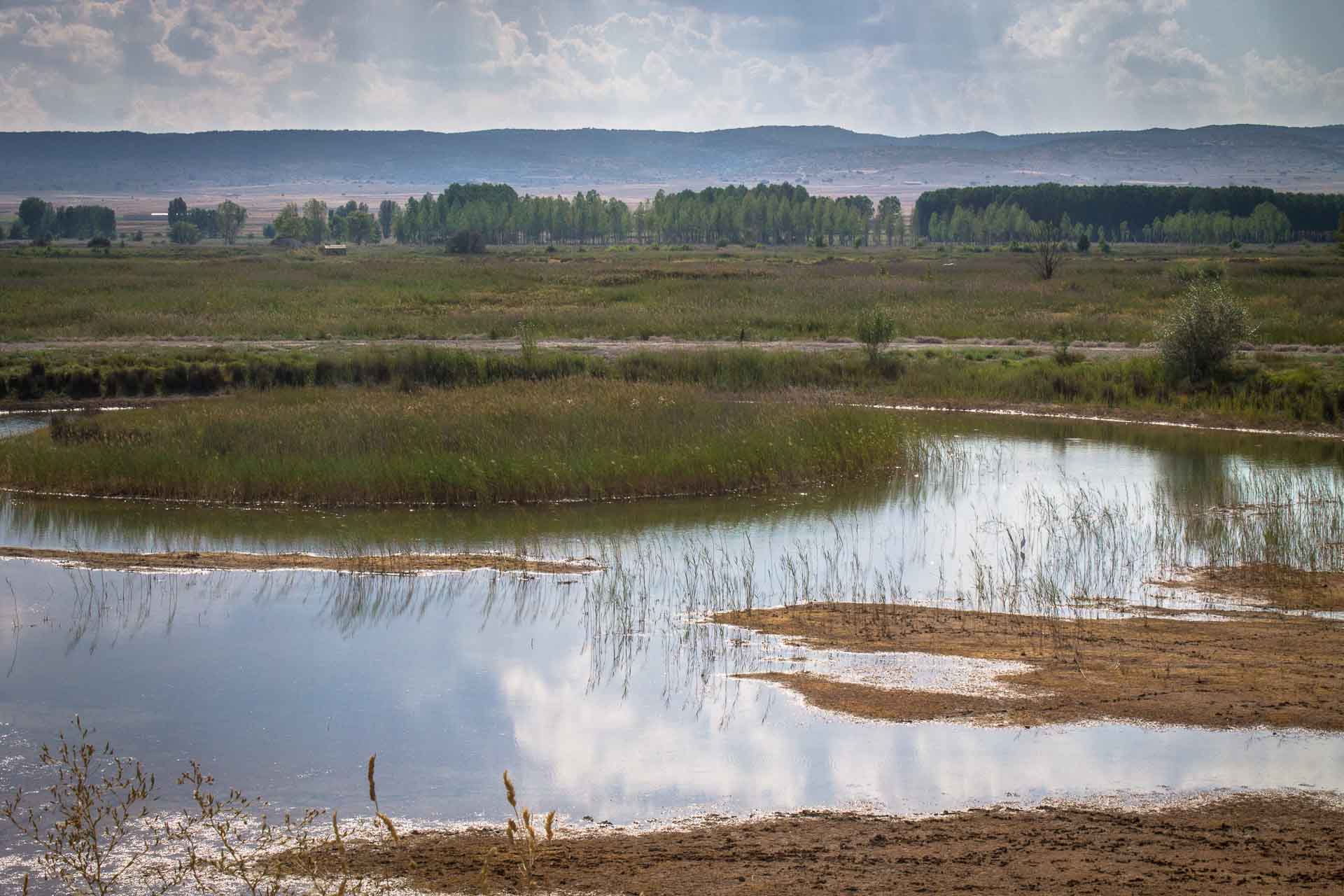 Satisfechos, junto a Ganar Los Verdes, por la apuesta de las Cortes por abrir un proceso de diálogo y mediación para desbloquear el conflicto relacionado con la laguna del Cañizar