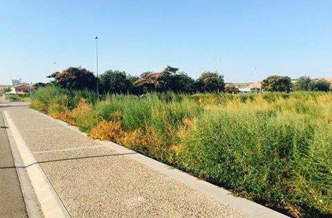 Instamos al Ayuntamiento de Fraga  a  tomar las medidas legales oportunas para asegurar que la Sareb cumpla las ordenanzas municipales en los solares de su propiedad