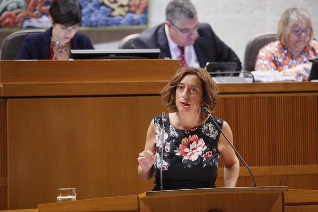 Pedimos explicaciones a Olona por el uso sistemático de bomberos civiles para la extinción de incendios forestales