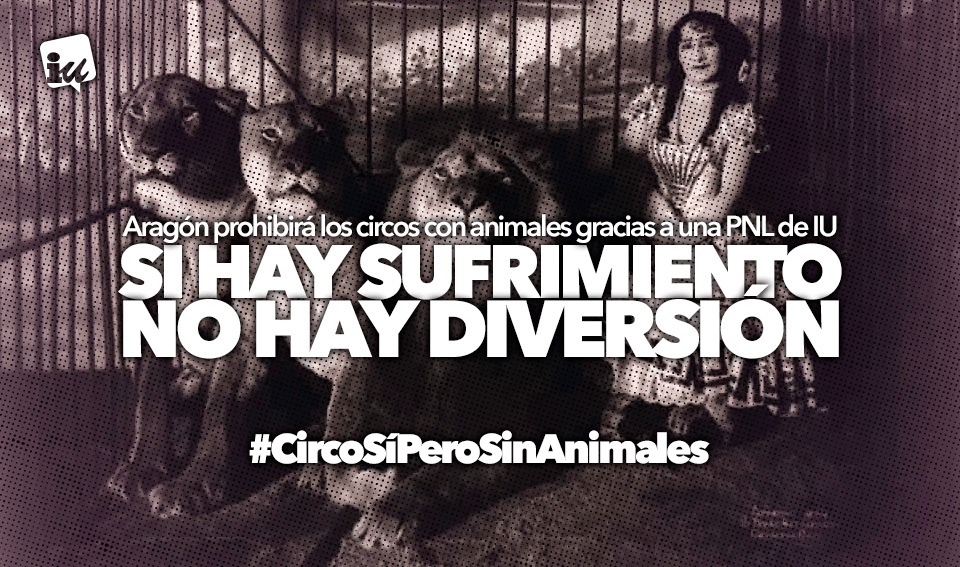 Aragón prohíbe los circos con animales salvajes gracias a Izquierda Unida