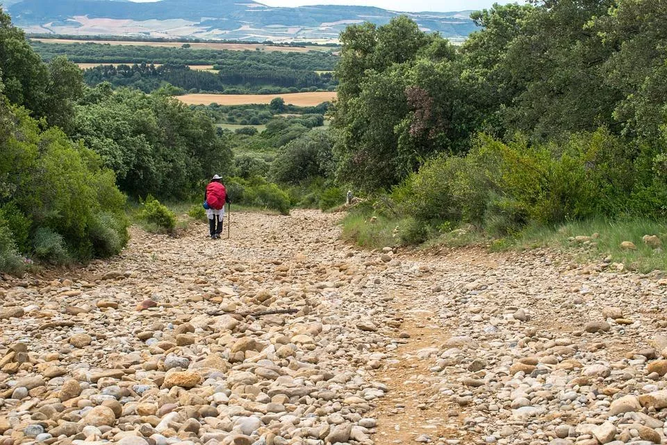 Solicitamos al Gobierno de Aragón garantías reales de protección del Camino de Santiago a su paso por Jaca   