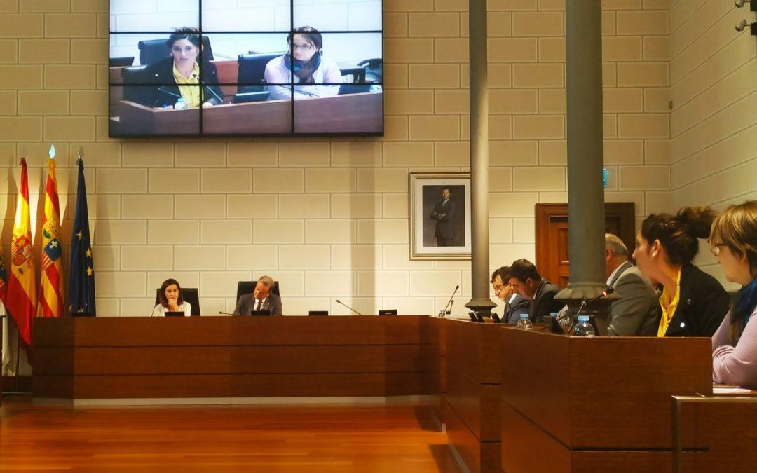 La DPZ respaldará las movilizaciones por la Emergencia Climática, a propuesta de En Común – IU