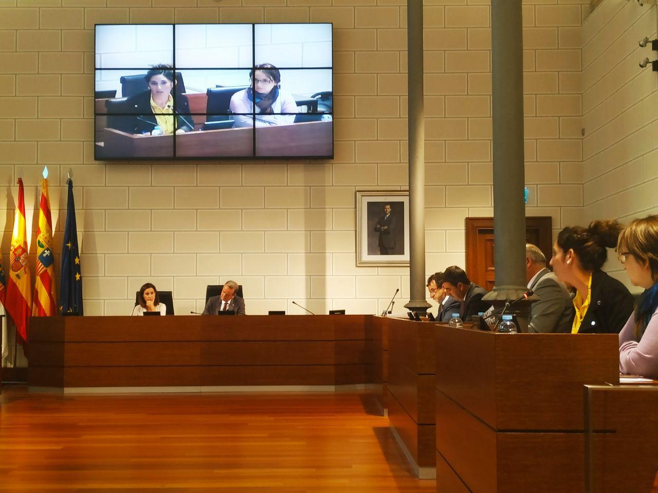 Elena García En Común IU DPZ
