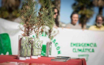 Plantaremos 500 árboles autóctonos en las Cinco Villas ¿te apuntas?
