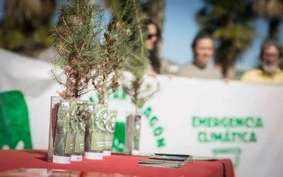 Plantaremos 500 árboles autóctonos en las Cinco Villas ¿te apuntas?