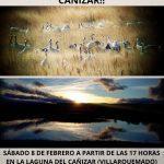 Observación Grullas