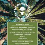 Plantada en el Frago