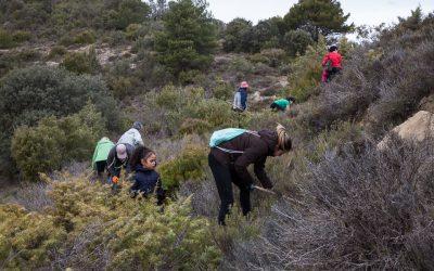 Apúntate a la plantada popular de este sábado en La Puebla de Híjar