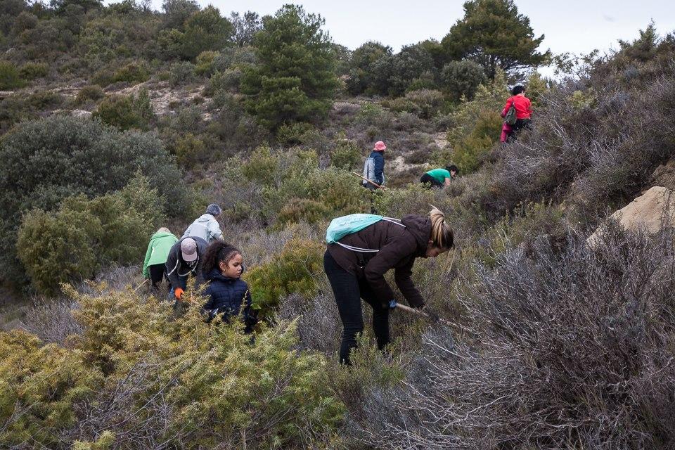 Plantada Replantar Aragón