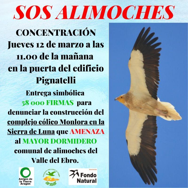 SOS Alimoche