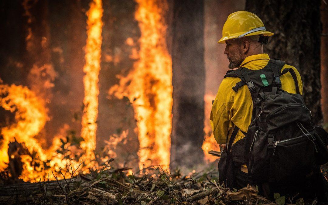 Pediremos explicaciones en las Cortes ante el recorte del periodo de contratación del operativo antiincendios