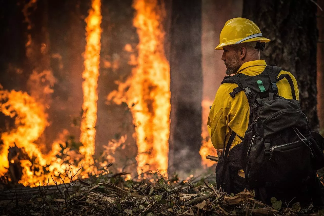 forest-fire-3905873_1280