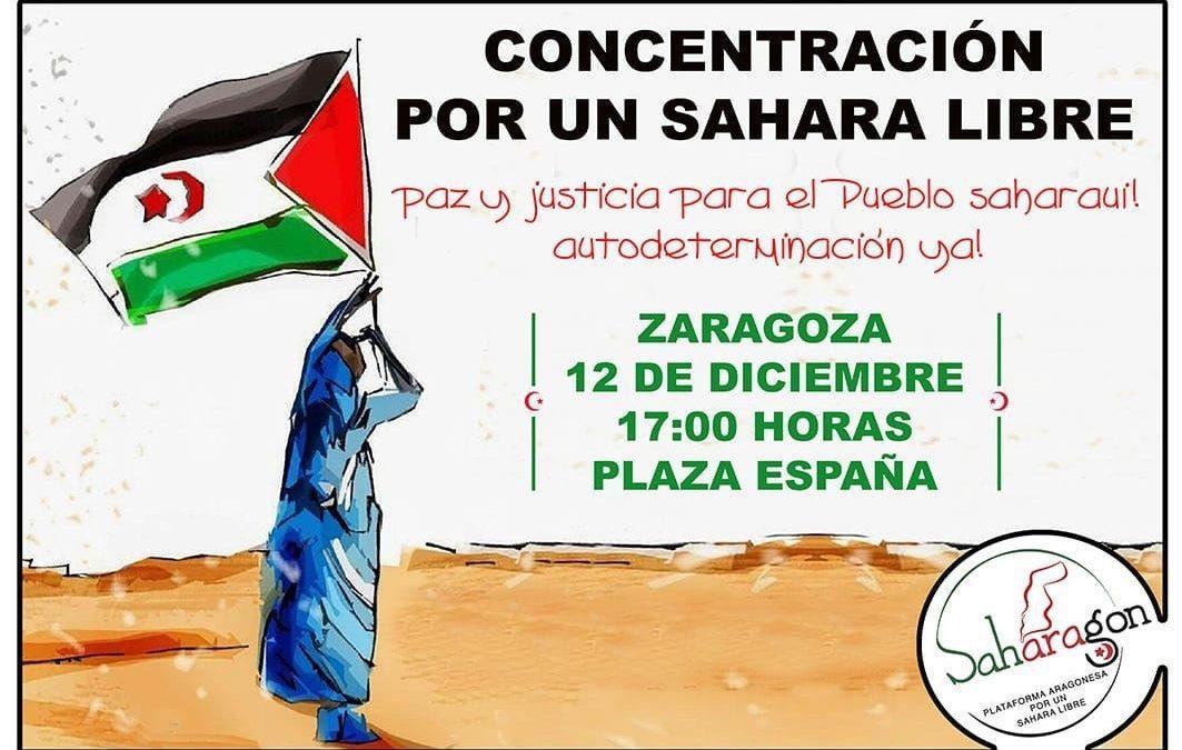 Nos adherimos al manifiesto de SAHARAGON por un Sahara libre