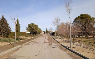 PSOE rechaza las propuestas de IU Ejea y Pueblos para combatir la despoblación y alcanzar el 100% en sostenibilidad