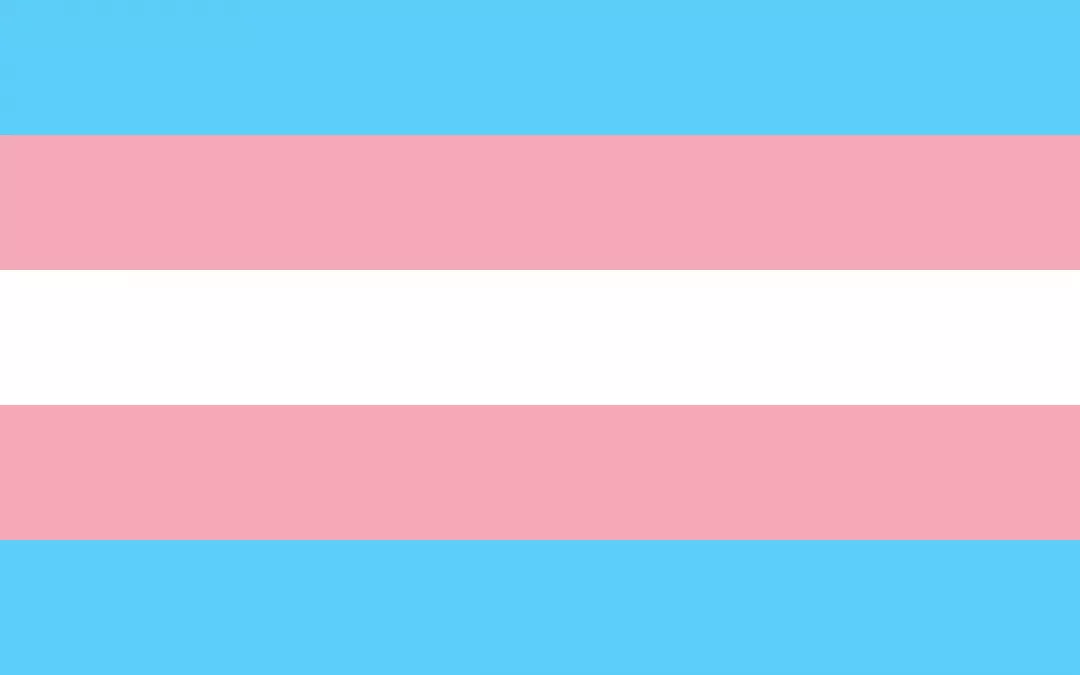 Formación sobre la cuestión Trans para la militancia de IU Aragón