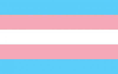 Formación sobre la cuestión Trans para la militancia de IU Aragón