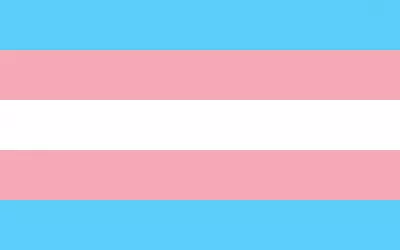 Formación sobre la cuestión Trans para la militancia de IU Aragón