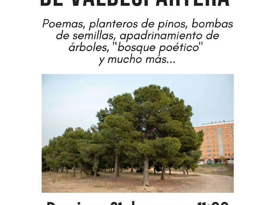 Salvemos los pinos de Valdespartera
