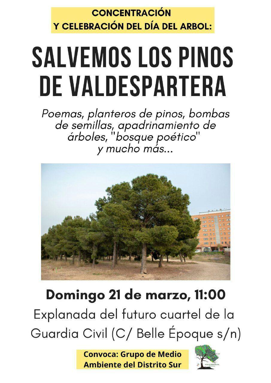 Salvemos los pinos de Valdespartera