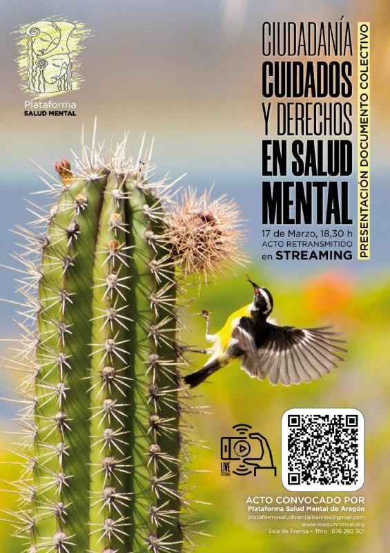 Presentación del documento colectivo 'Ciudadanía, Cuidados y Derechos en Salud Mental'