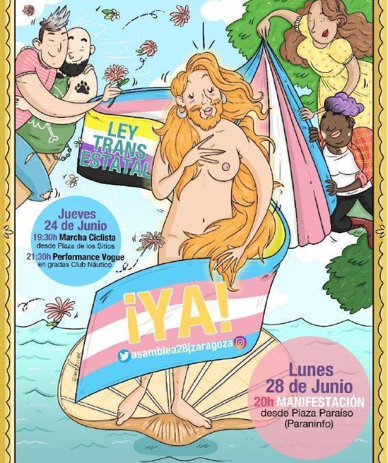 Movilizaciones por la Ley Trans Estatal