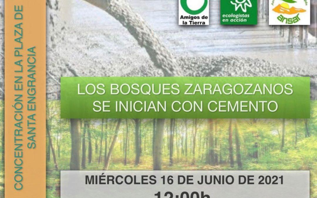 Concentración: Los bosques zaragozanos se inician con cemento