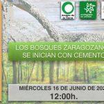 Concentración: Los bosques zaragozanos se inician con cemento