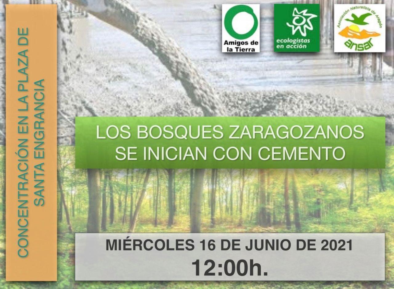Concentración: Los bosques zaragozanos se inician con cemento