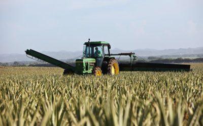 Exigimos al Gobierno de Aragón  que defienda una PAC “más justa y solidaria” que apoye al modelo de agricultura familiar profesional sostenible