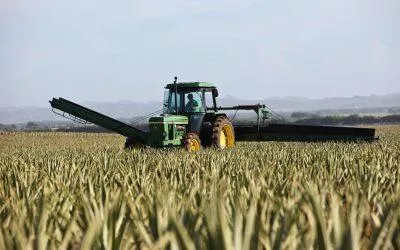 Exigimos al Gobierno de Aragón  que defienda una PAC “más justa y solidaria” que apoye al modelo de agricultura familiar profesional sostenible