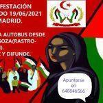 Manifestación por un Sáhara Libre: bus a Madrid