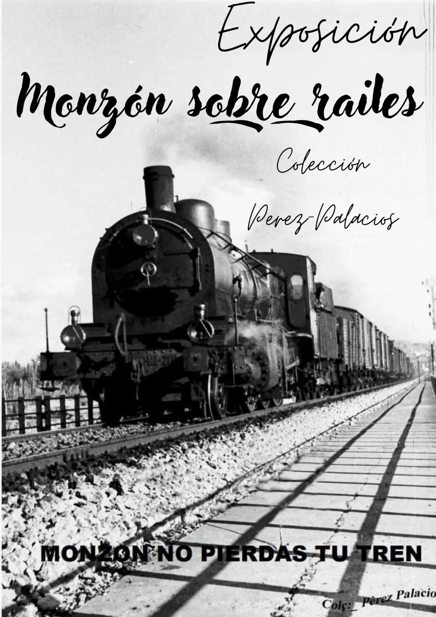 Exposición 'Monzón sobre raíles'