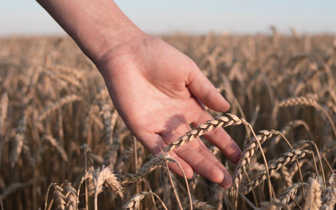 Defendemos un modelo social y familiar en políticas agrarias y llamamos participar en las movilizaciones por la PAC