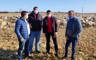 Nuestra apuesta, junto a UAGA, es una ley que fije límites a toda la ganadería, blinde el modelo agrario social, familiar y sostenible y garantice relaciones comerciales justas