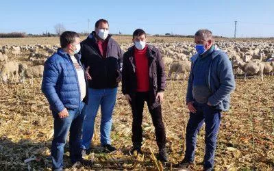 Nuestra apuesta, junto a UAGA, es una ley que fije límites a toda la ganadería, blinde el modelo agrario social, familiar y sostenible y garantice relaciones comerciales justas